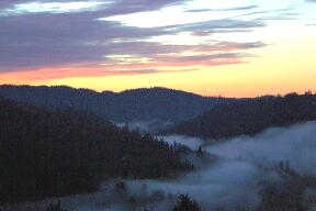 Austin Ceek canyon photo by Catherine Canelis of Cazadero